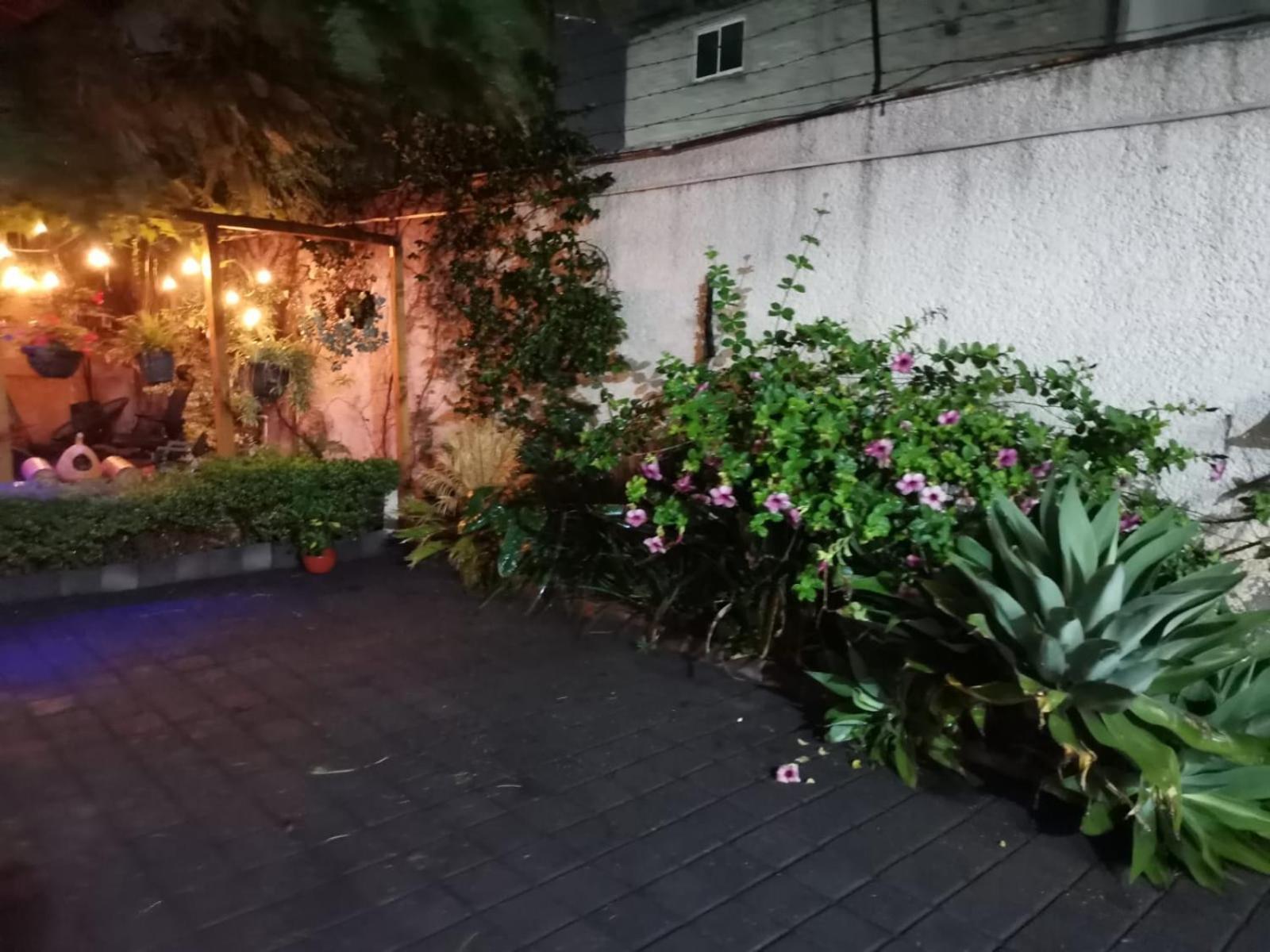 Ferienwohnung Casita Del Arbol Mexiko-Stadt Exterior foto