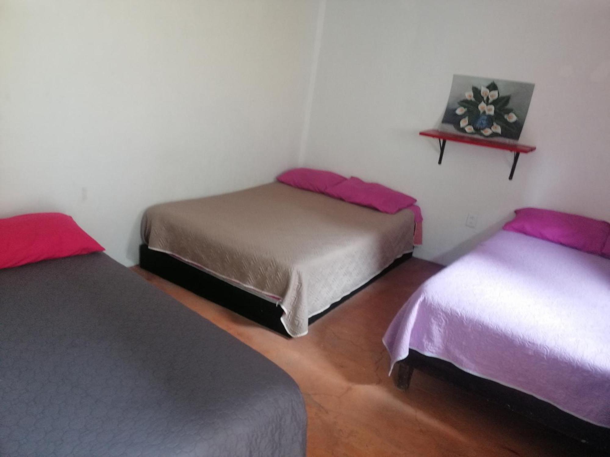 Ferienwohnung Casita Del Arbol Mexiko-Stadt Zimmer foto