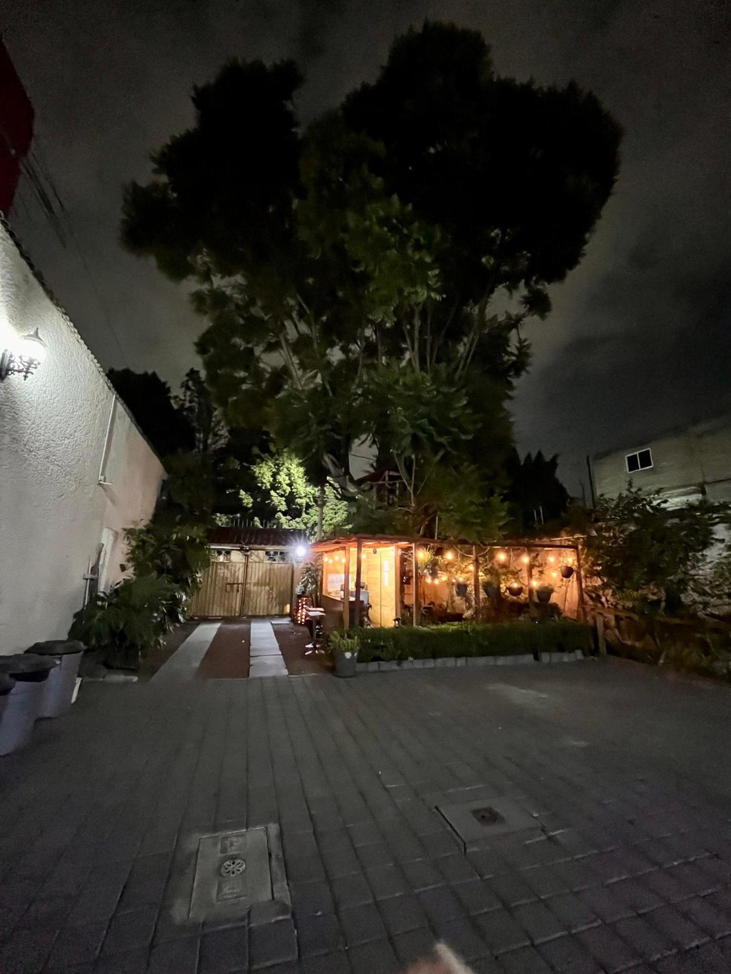 Ferienwohnung Casita Del Arbol Mexiko-Stadt Exterior foto