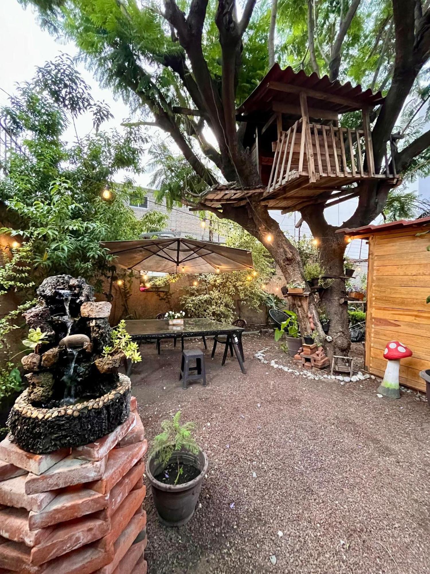 Ferienwohnung Casita Del Arbol Mexiko-Stadt Exterior foto