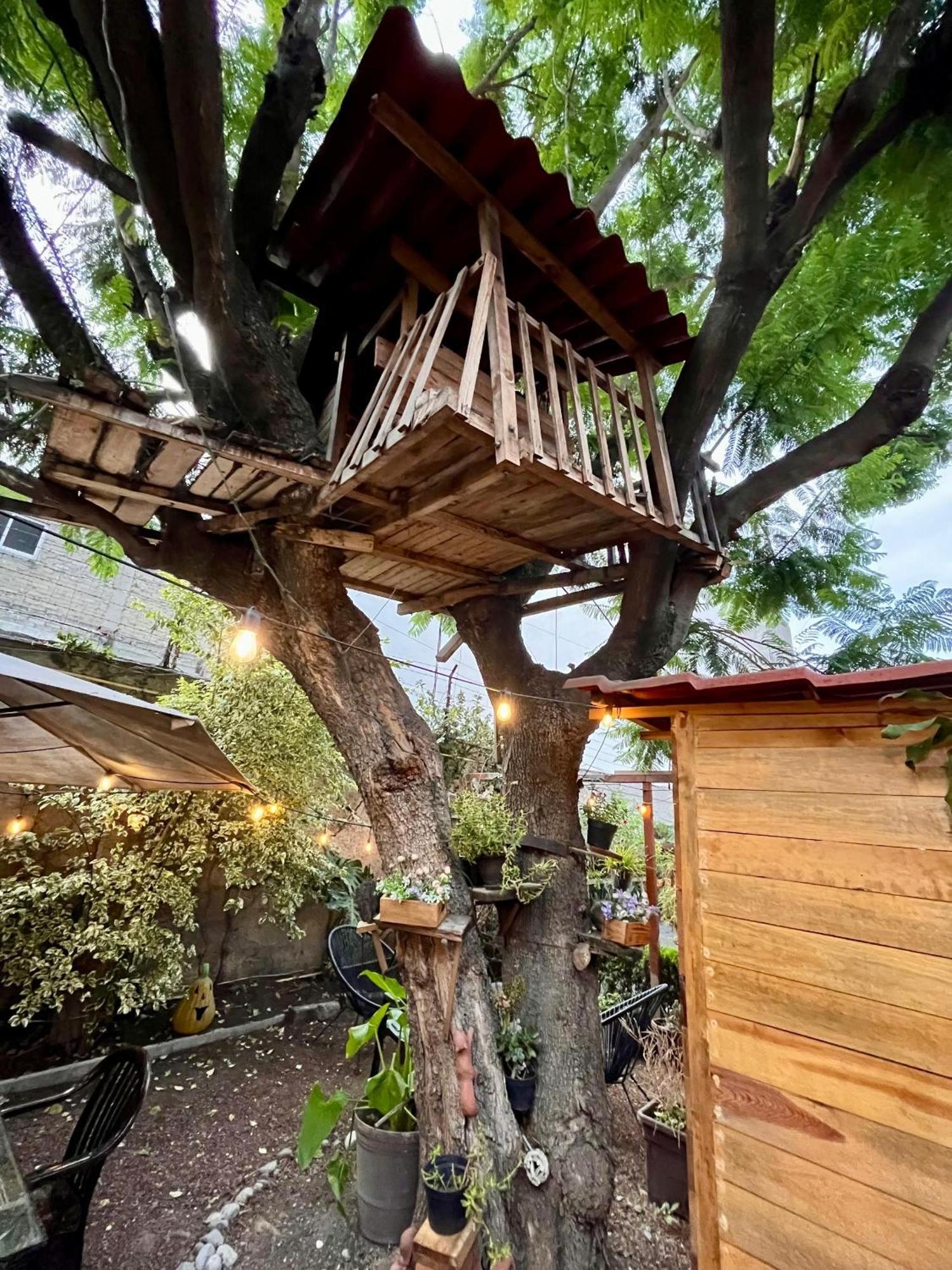 Ferienwohnung Casita Del Arbol Mexiko-Stadt Exterior foto