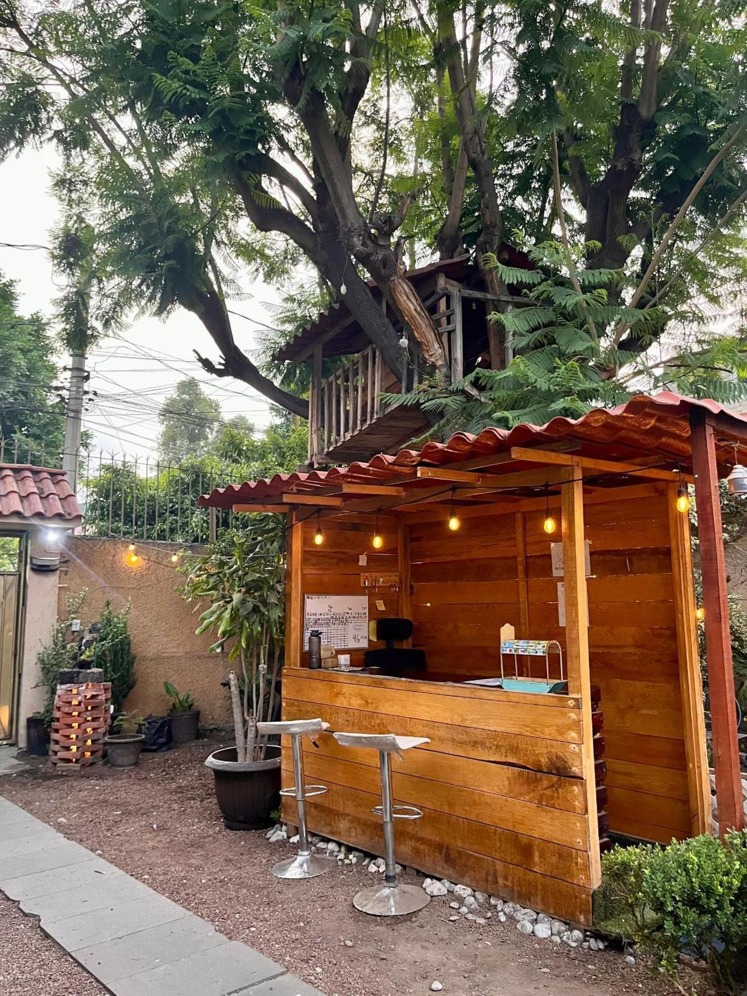 Ferienwohnung Casita Del Arbol Mexiko-Stadt Exterior foto
