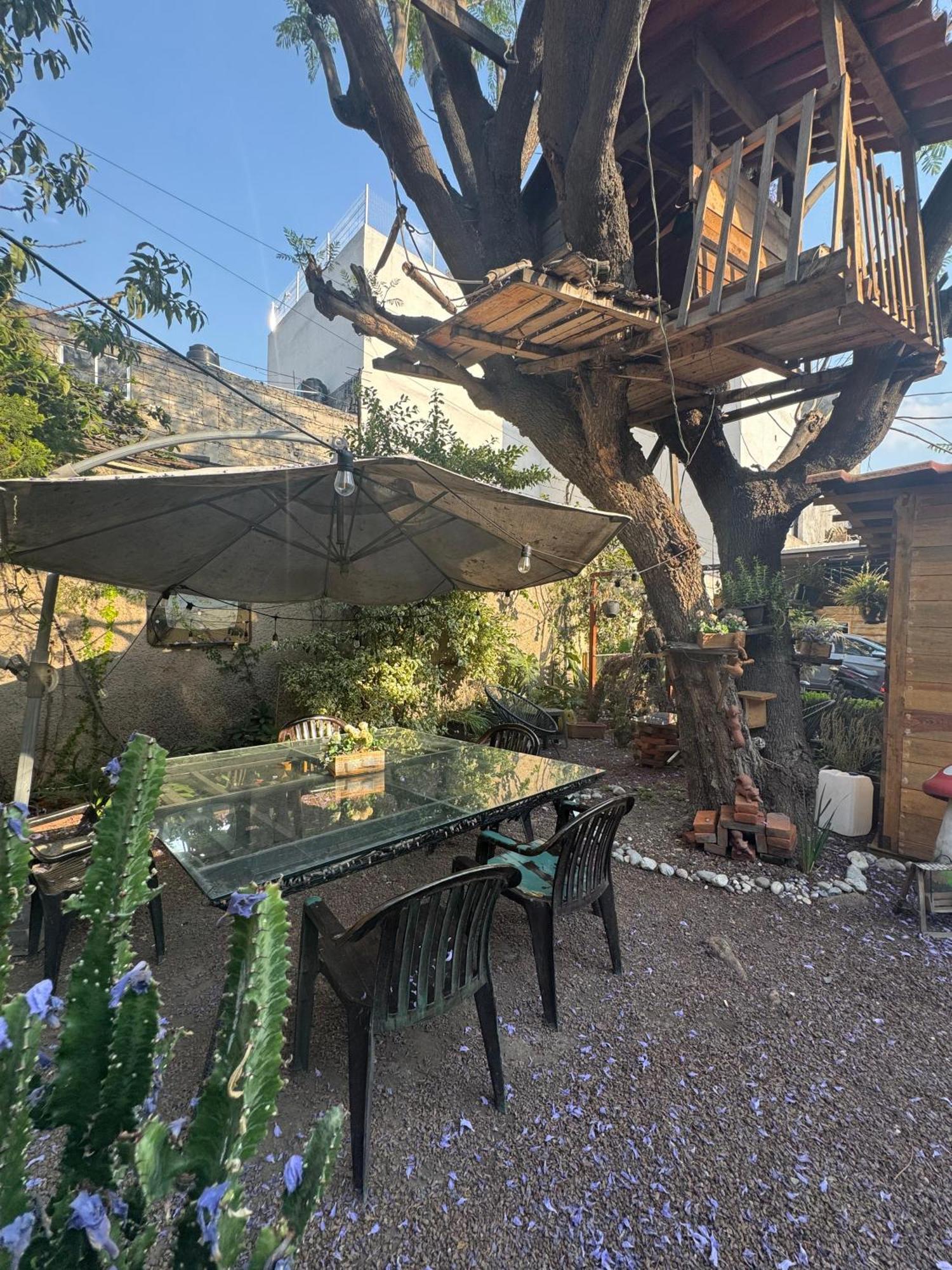 Ferienwohnung Casita Del Arbol Mexiko-Stadt Exterior foto